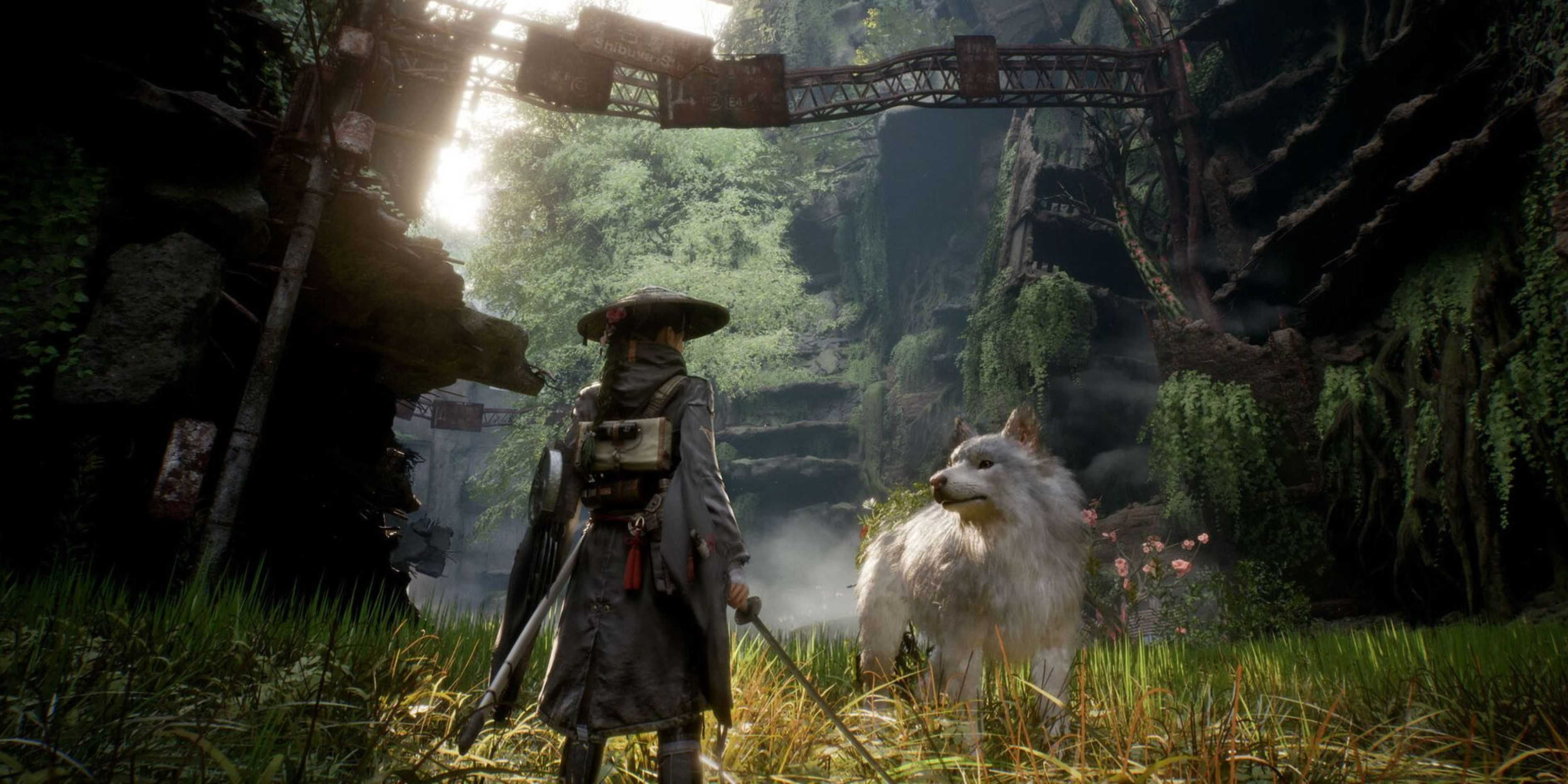 Beast of Reincarnation Story Length Revealed 2