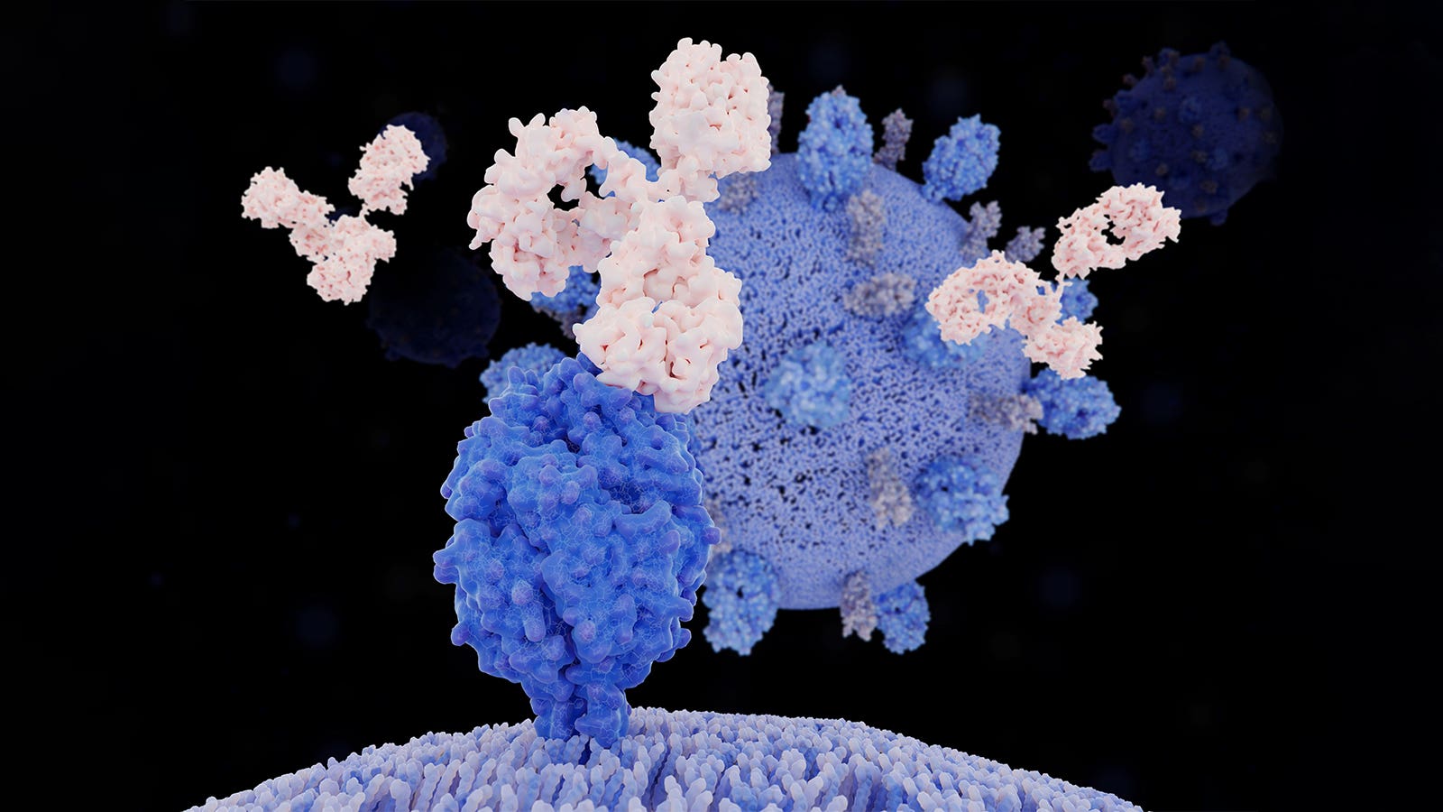 Second season of clesrovimab for RSV well tolerated in high-risk kids