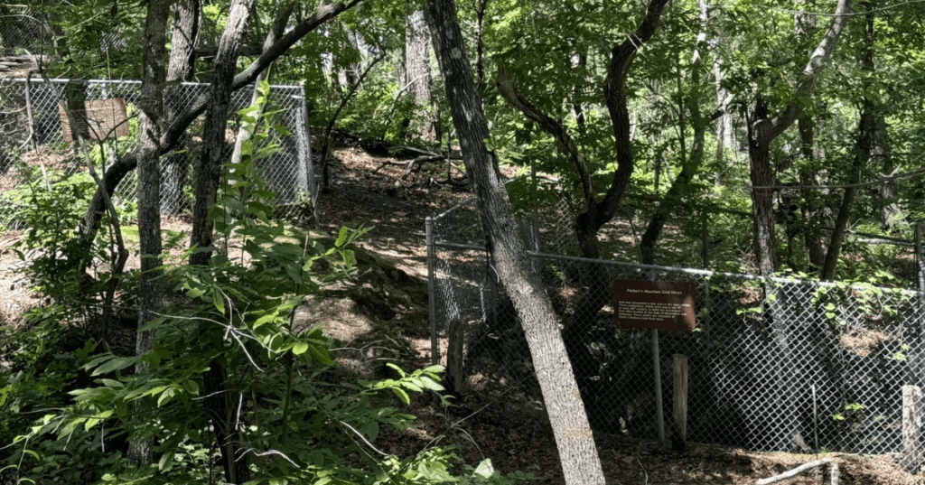 Abandoned gold mines in South Carolina.