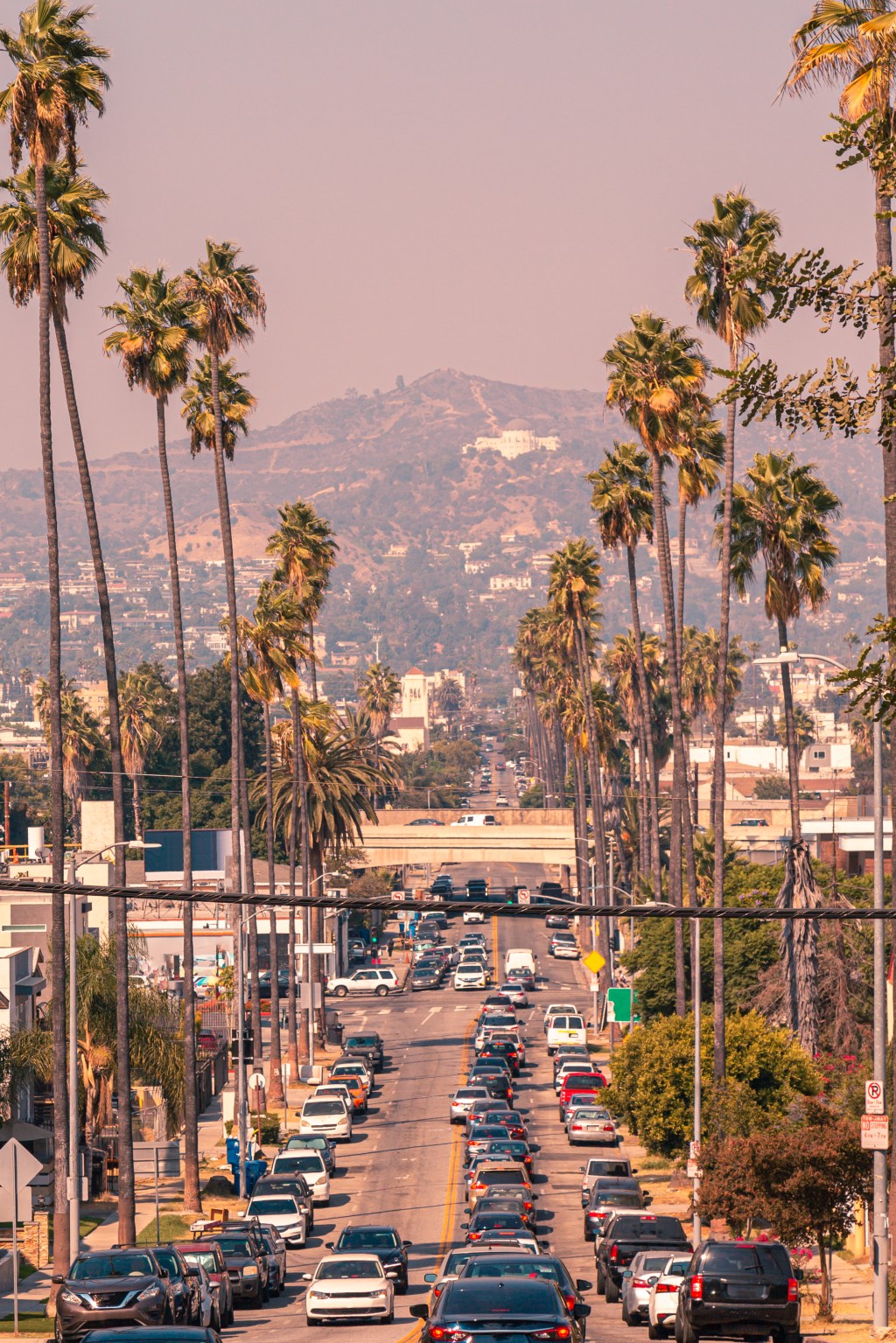 four-lane-street-lined-tall-135042804