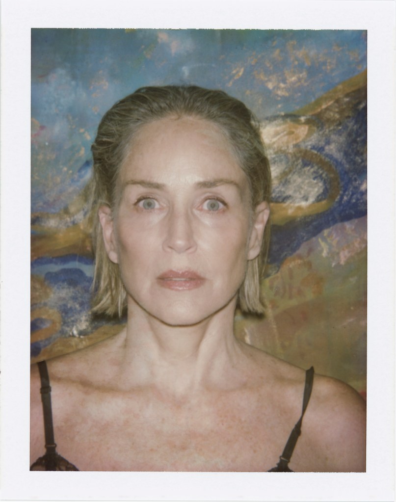 Sharon Stone on Quitting Weed and Stopping Her Stroke Medication