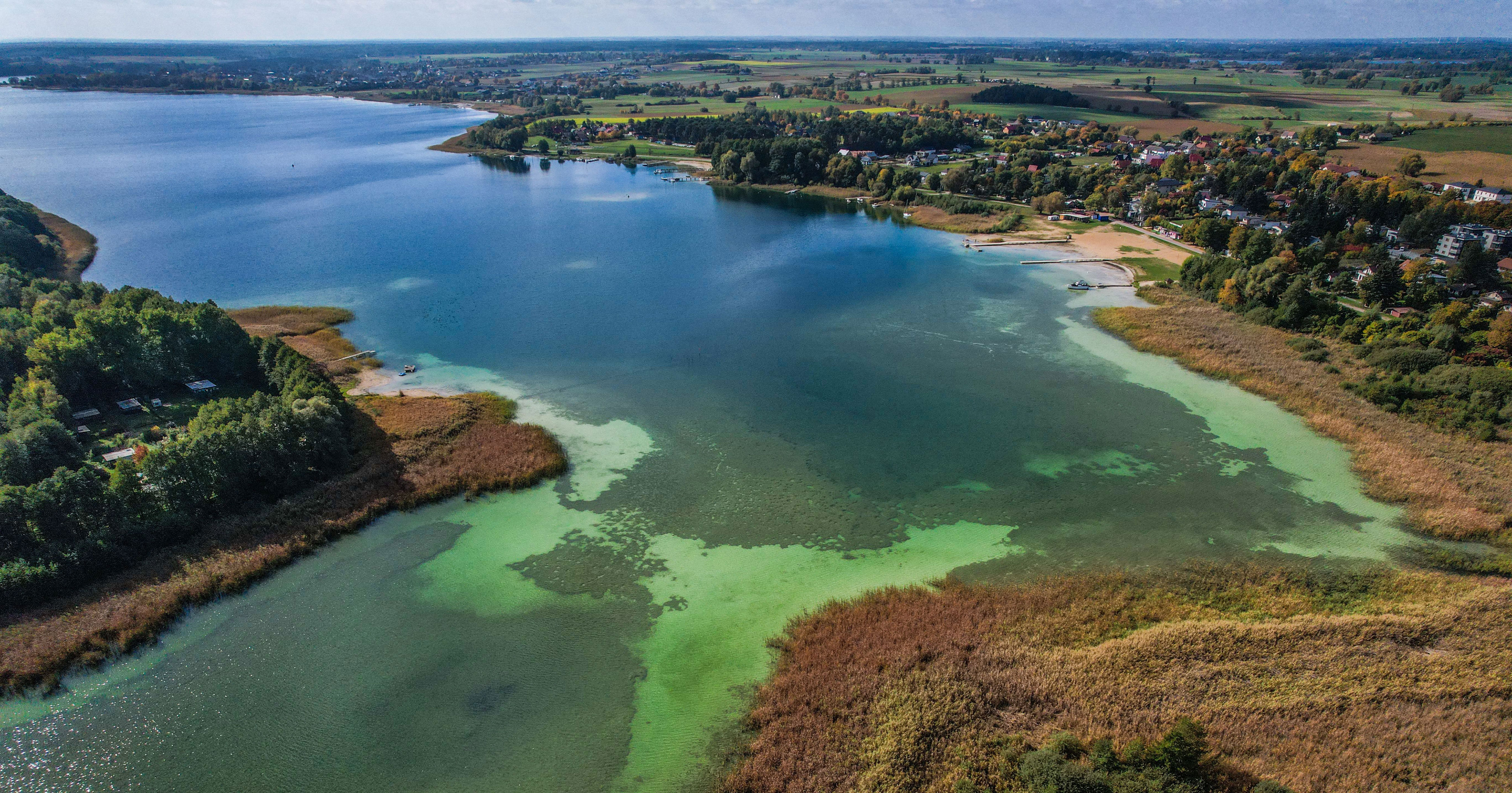 Lake swimmers in Nebraska urged to watch for harmful algal blooms