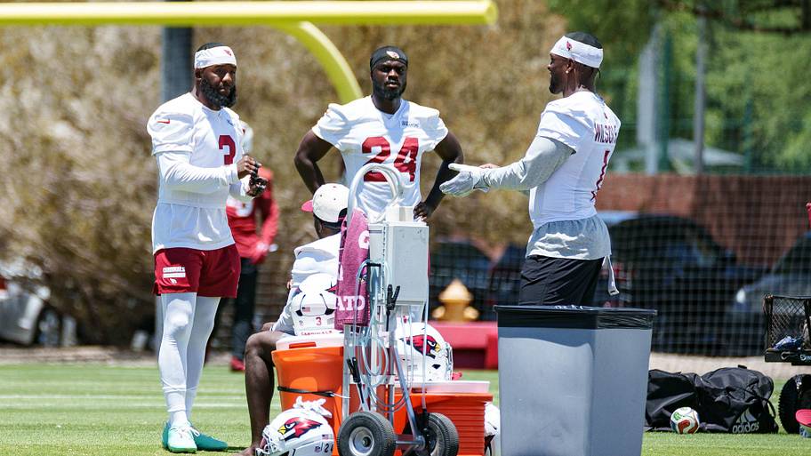 Arizona Cardinals defensive back