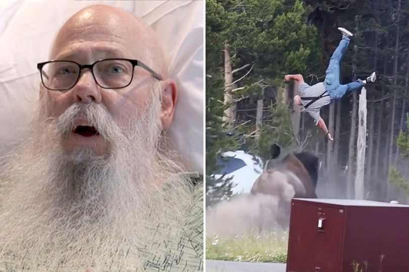 Bison attack survivor gives no-nonsense interview from his hospital bed