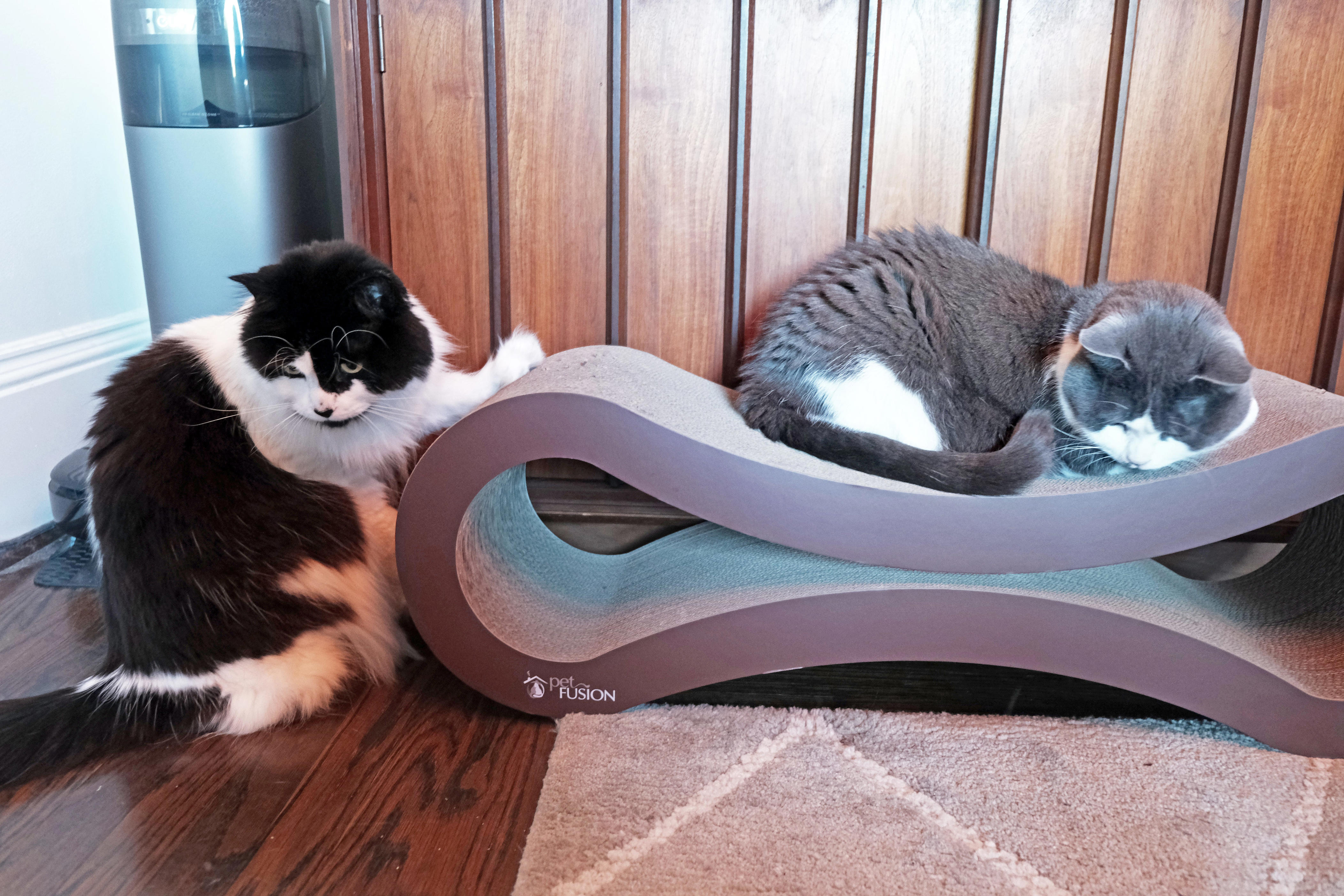 A cat is scratching the Petfusion Ultimate Cat Lounge while another sleeps on top of it.