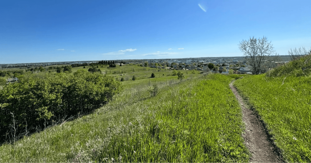 A narrow dirt trail leading into the prairie on hill overlooking an urban neighborhood. It's the Sleepy Hollow Trail in Bismarck, North Dakota.