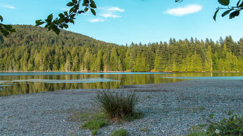 Killarney Lake at Crippen Regional Park on Bowen Island