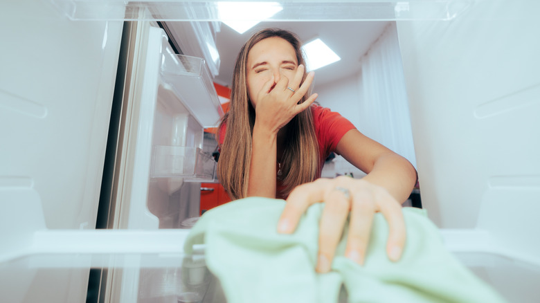Home cook cleaning a smelly freezer