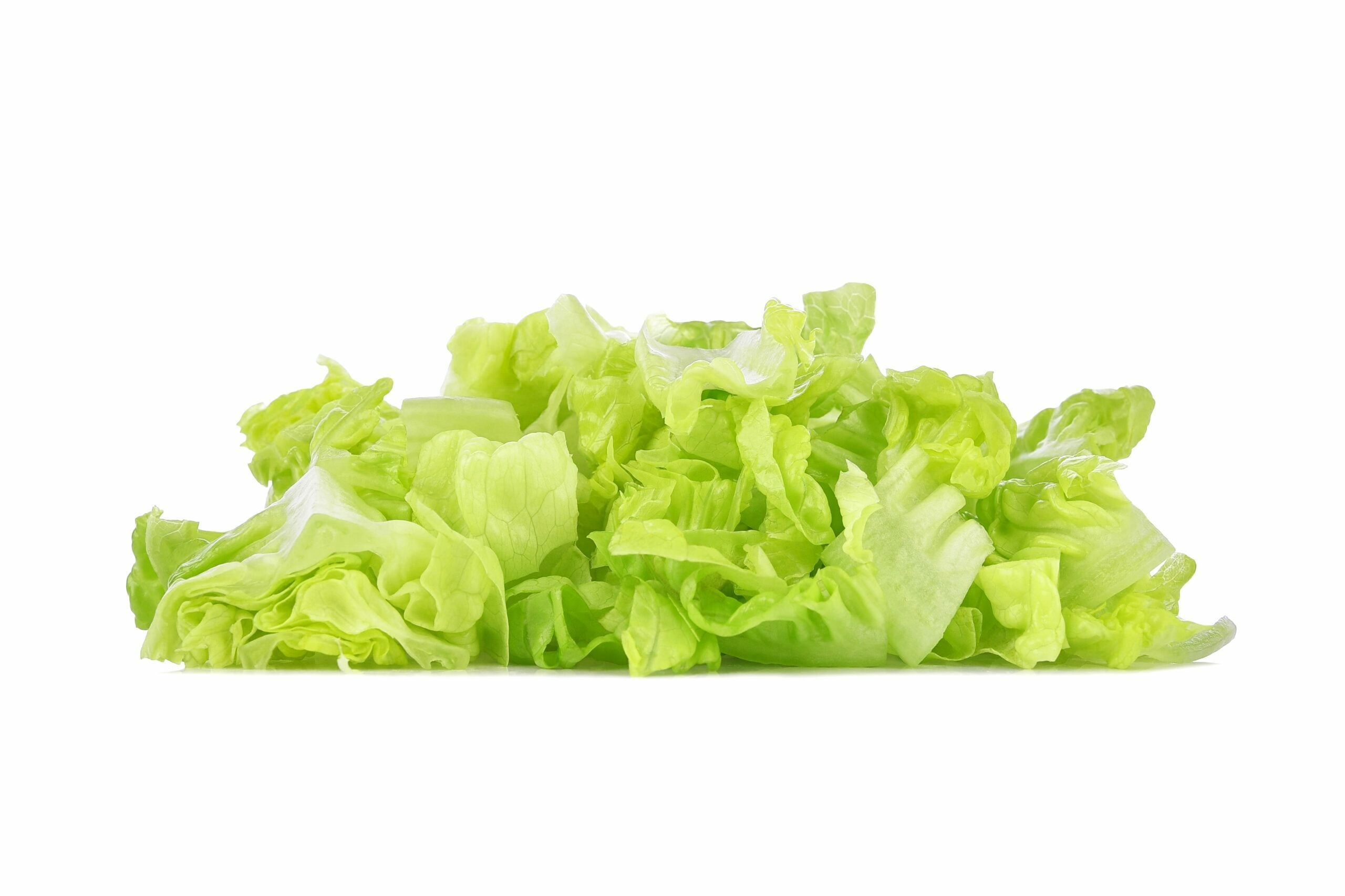 shredded lettuce on white background