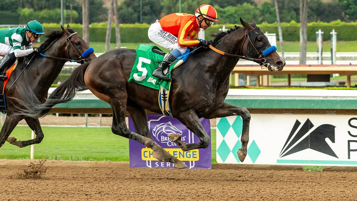 Santa Anita’s Autumn Meet Stakes Schedule Features Seven Breeders’ Cup Challenge Series Races