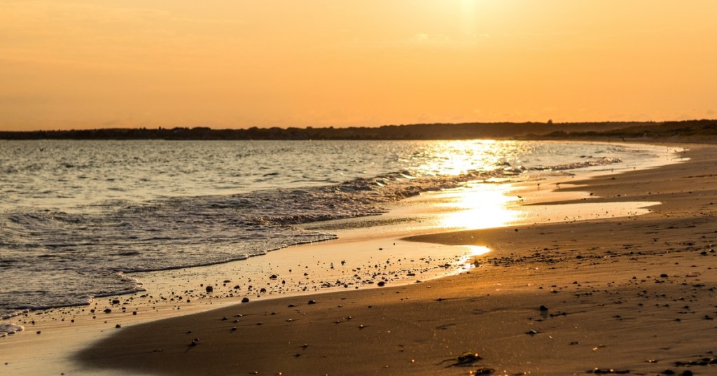 The sun sits low over Horseneck Beach in Massachusetts, turning the scenery gold.