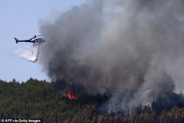 An Airbus Helicopters H125 helicopter drops water on a burning forest following a wildfire in Taradeau, in Var department, southeastern France on July 20
