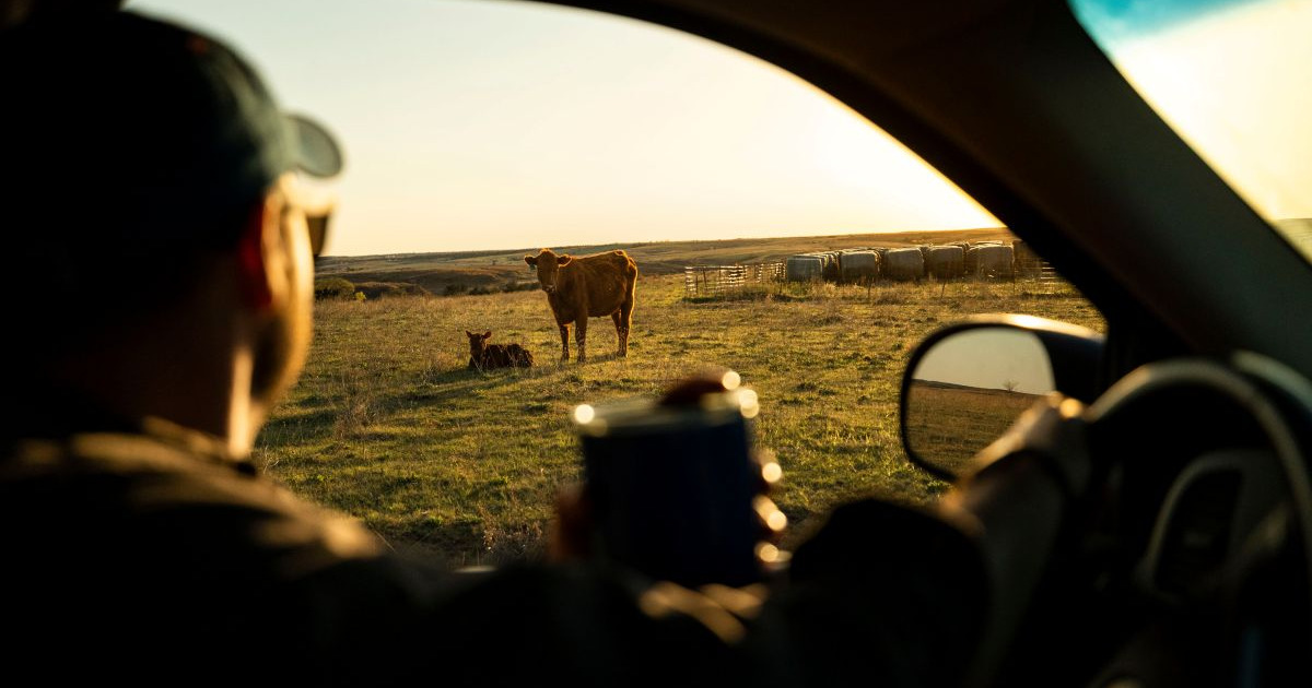 Rule repeal could make life harder for small WA meat producers