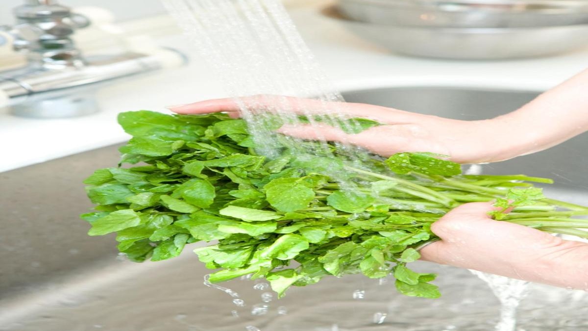 Are you washing your fruits and vegetables the wrong way? Experts reveal the safest method to remove pesticides