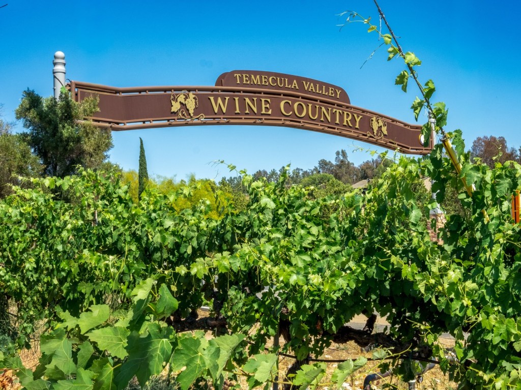 temeculawines-instagram-https-www-instagram-135034063