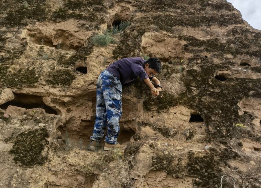 Biocrusts On Great Wall Of China