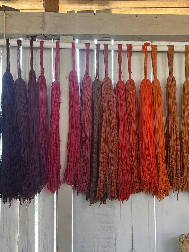 Long skeins of hand-dyed yarn hang in neat rows, displaying a gradient of deep purples, reds, oranges, and golden browns. The colorful fibers dry against a rustic white wooden wall.