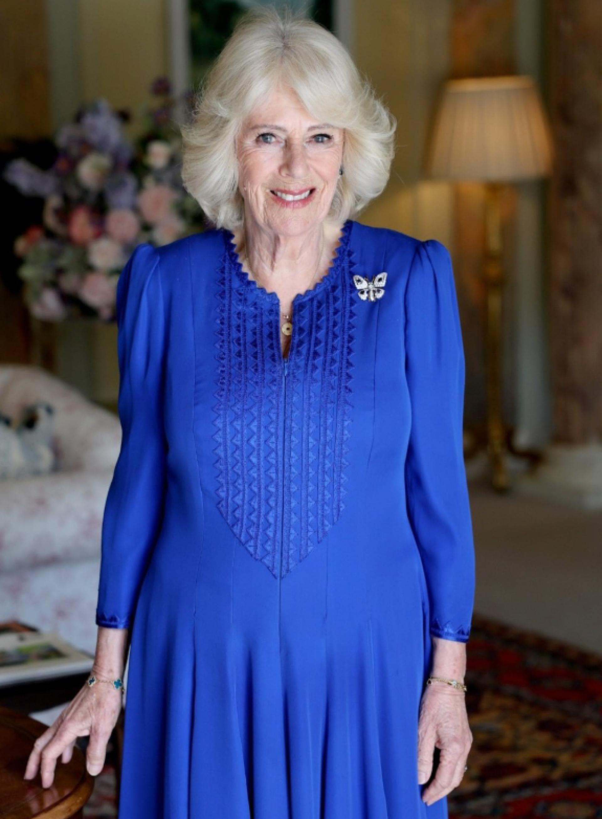 Queen Camilla faces backlash after carrying Princess Diana’s iconic Lady Dior bag