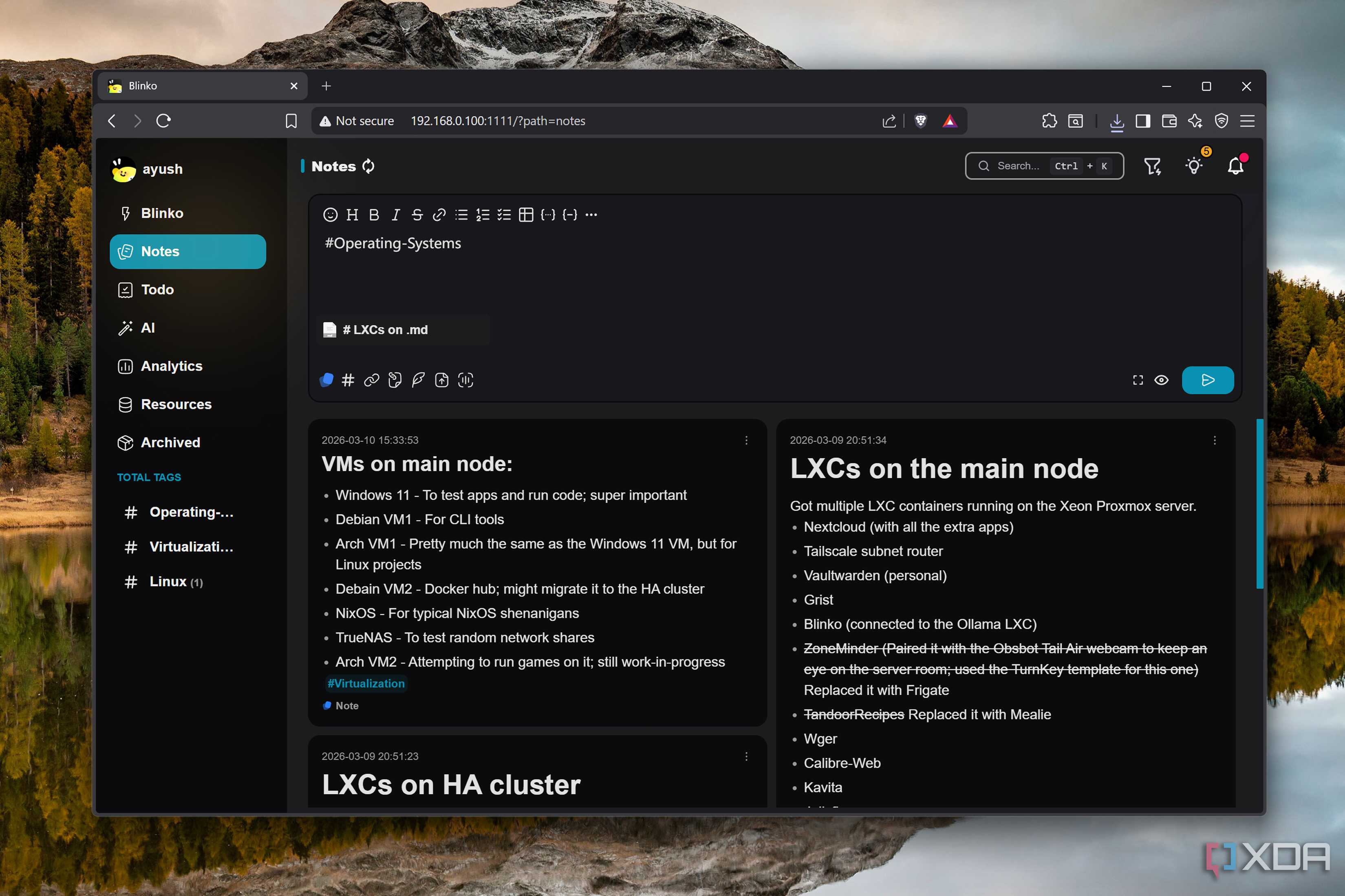 The Notes tab on Blinko