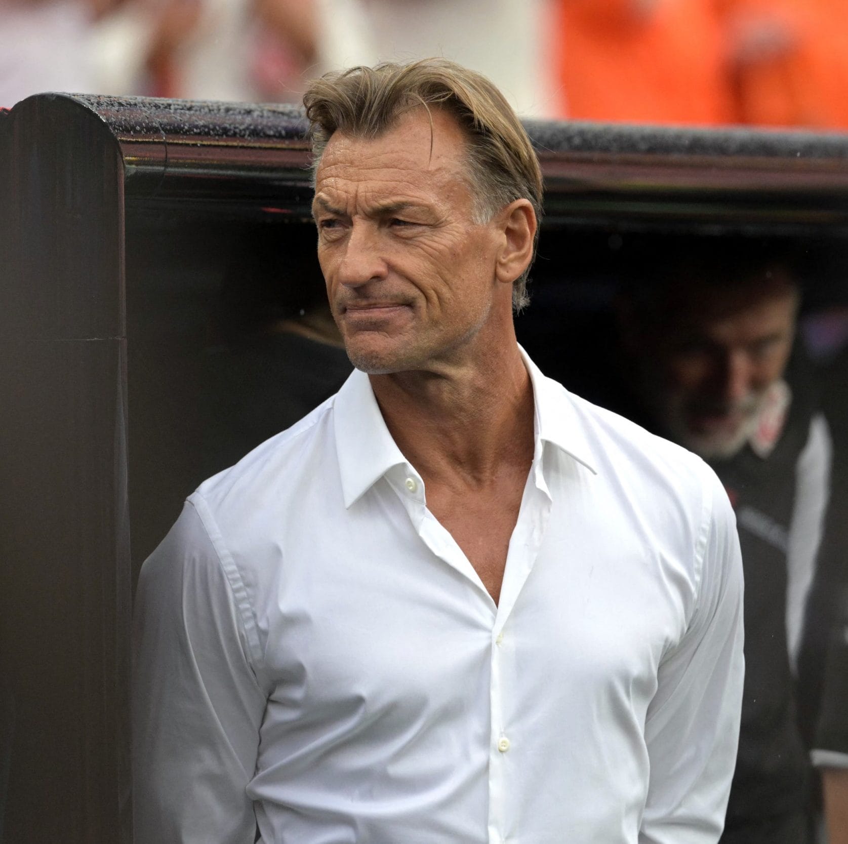 Herve Renard