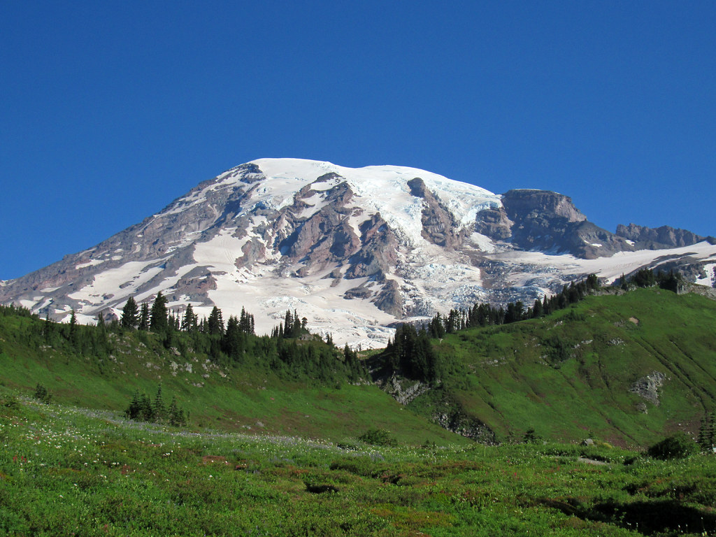 Wildflowers along the Skyline Trail at Mount Rainier National Park