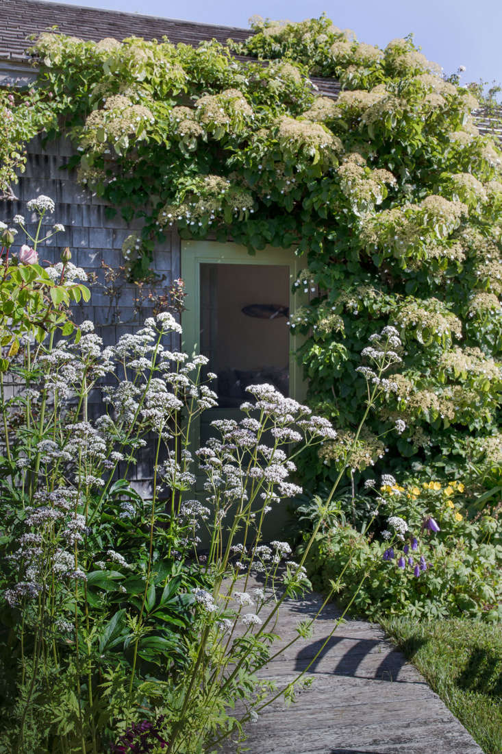 Cape Cod Cottage Garden Hydrangea Door