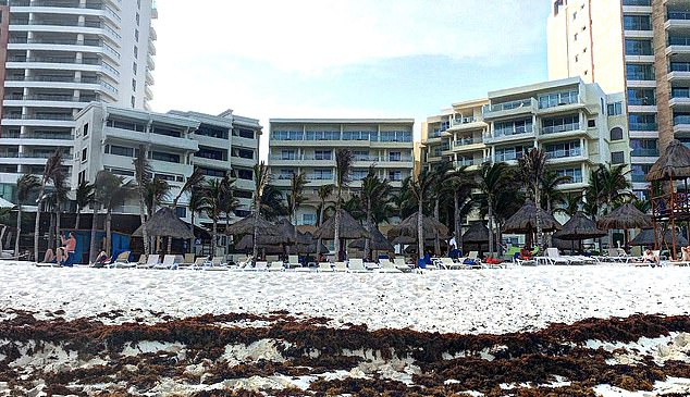 The tragedy unfolded on San Miguelito Beach, opposite Nyx Hotel (pictured)