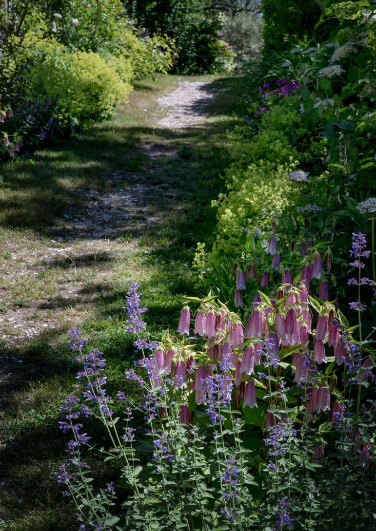 Cape Cod Cottage Garden side path