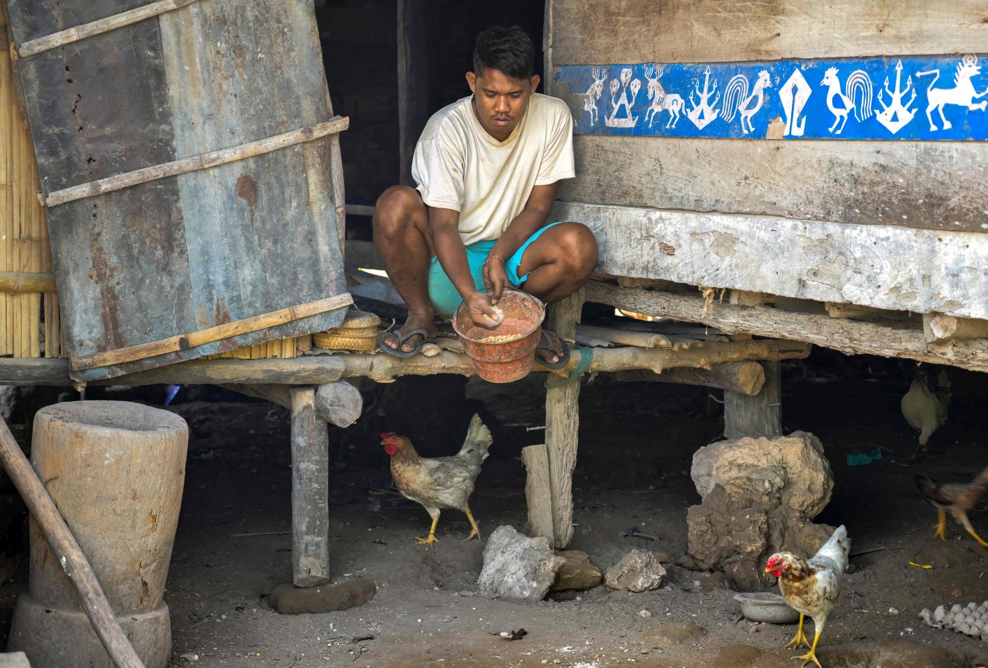 Umbu Ana Rara feeds his chickens as part of household chores that he shares with his