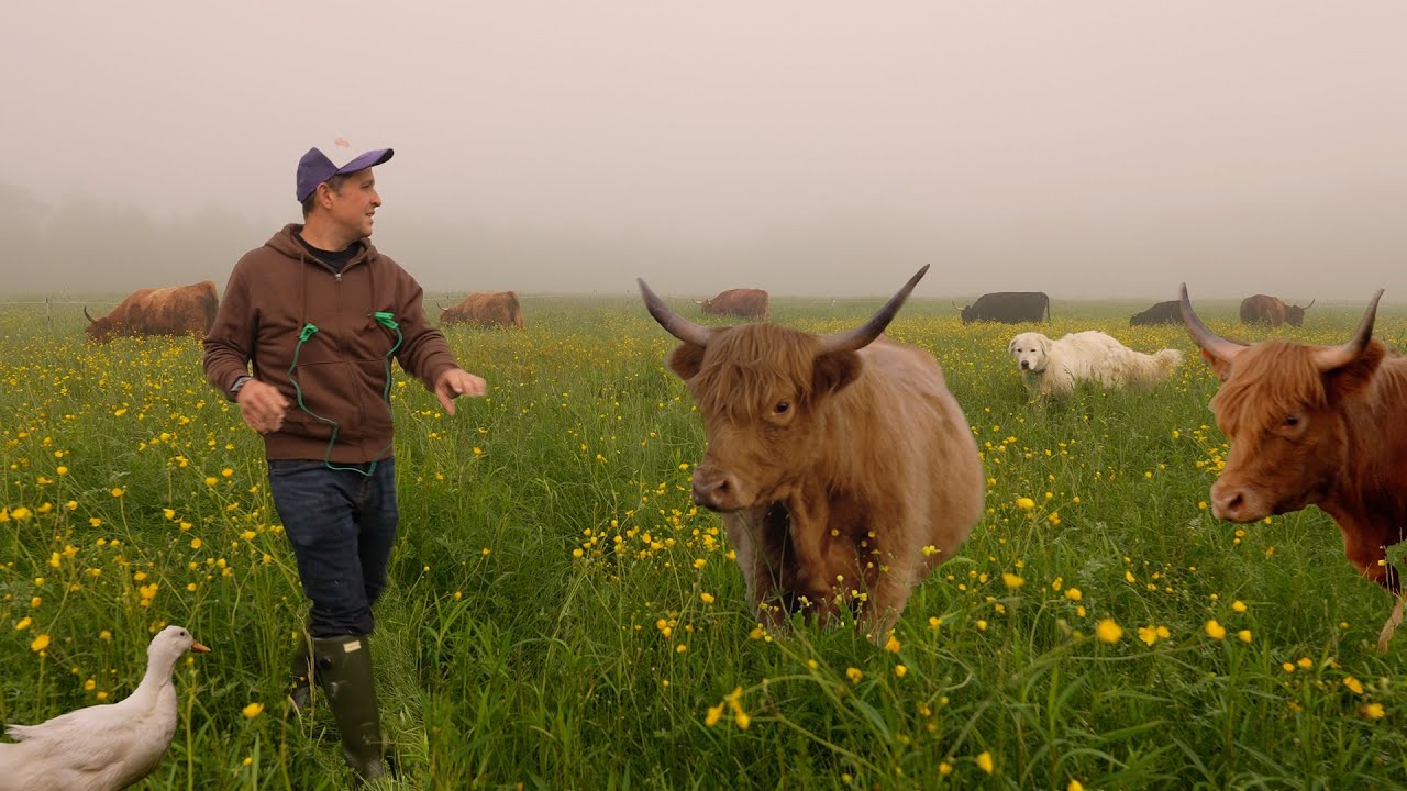 Discover the hidden truth of daily small farm life
