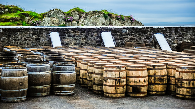 Rows of whisky barrels lined up outside on a Scottish island