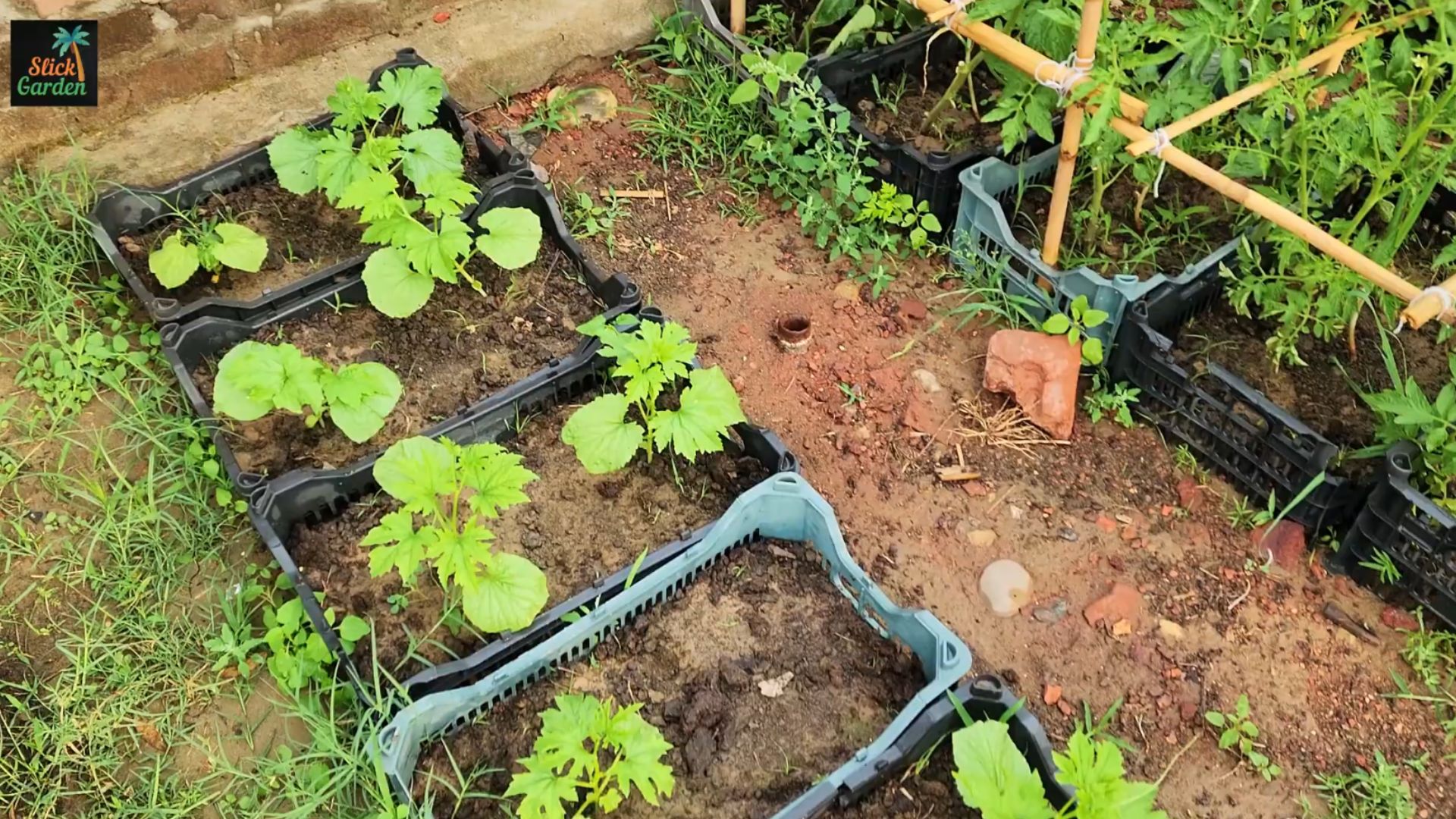 How to build perfect garden soil: The 3 ingredient formula