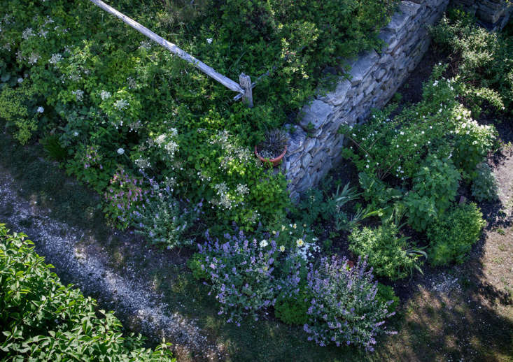 Cape Cod cottage garden aerial