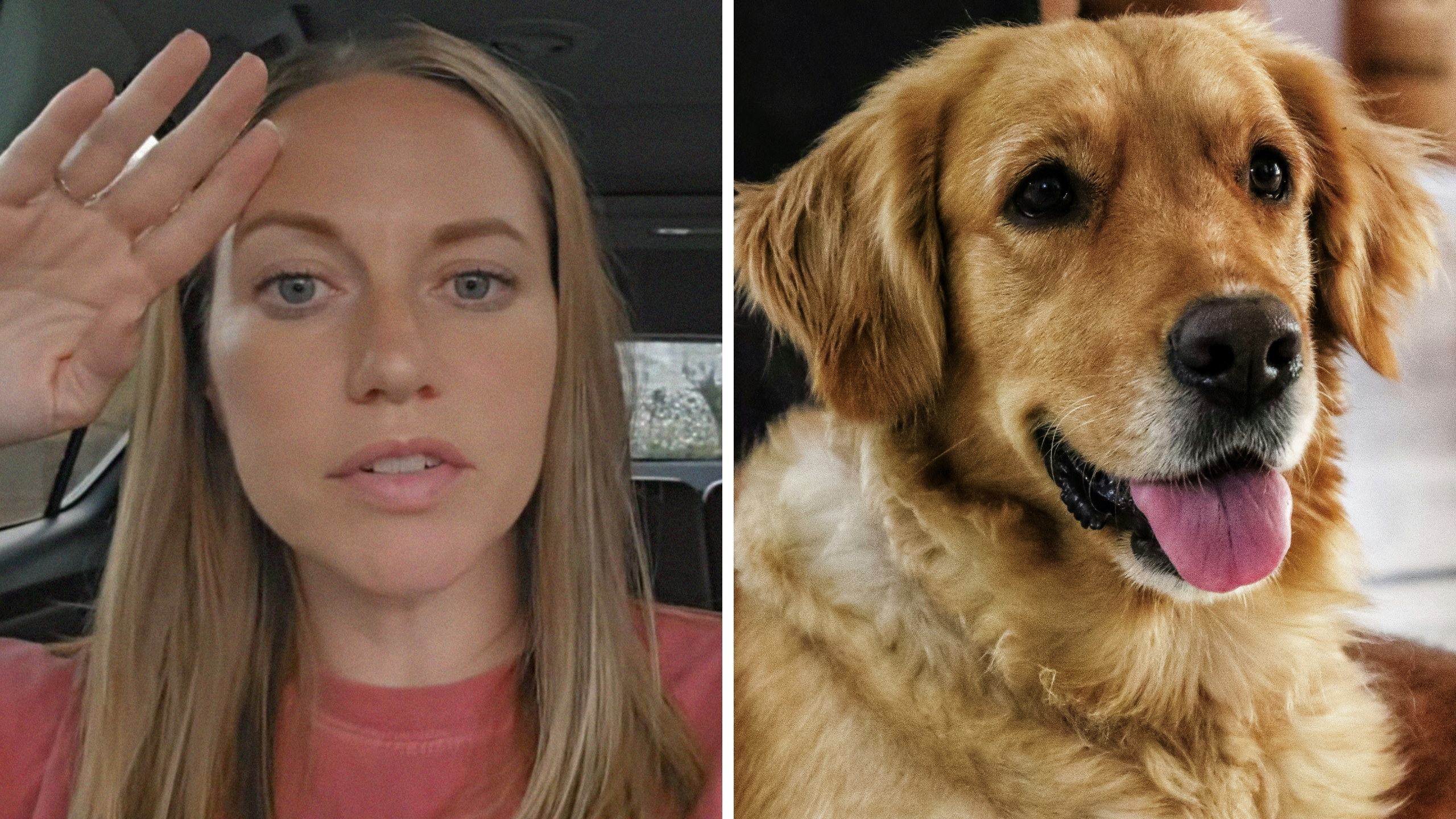 Woman takes her golden retriever to the veterinarian. Then the doctor won’t tell her when to spay her pet: ‘Do your own research’