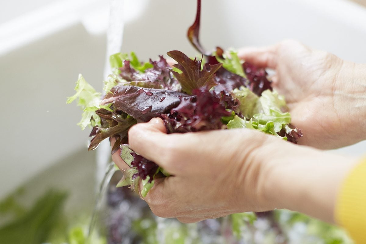 How to wash lettuce and salad greens