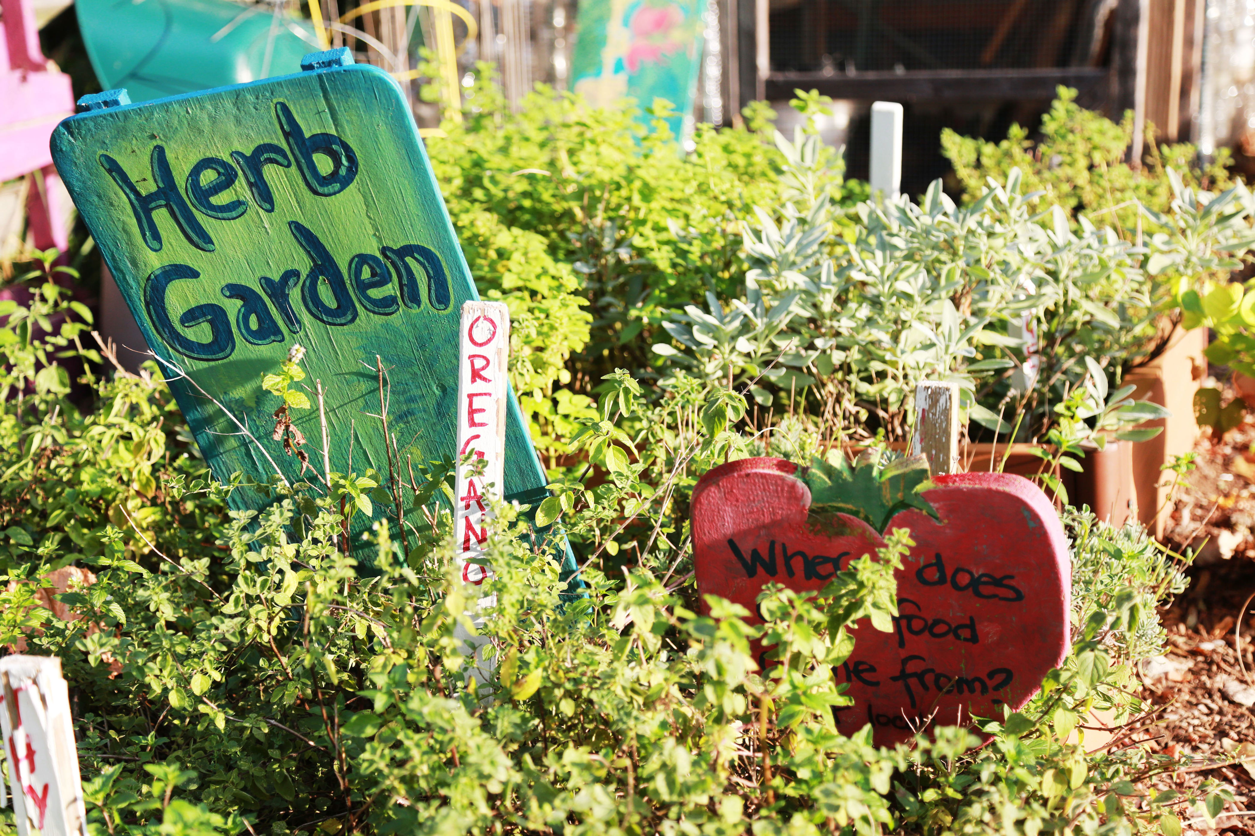 How D.C.'s "humanure" became garden gold