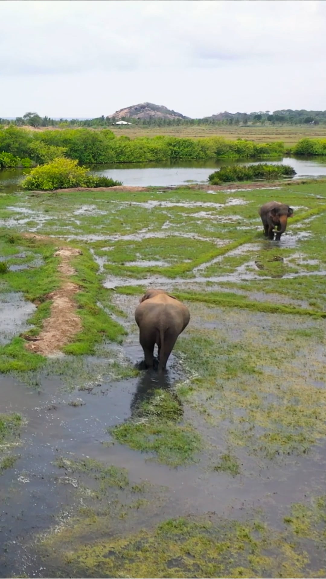 Drone footage showcases Sri Lanka's natural beauty