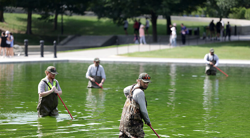 After Trump’s $14 million renovation, the Reflecting Pool may need even more fixes. The takeaway for your own home reno risks