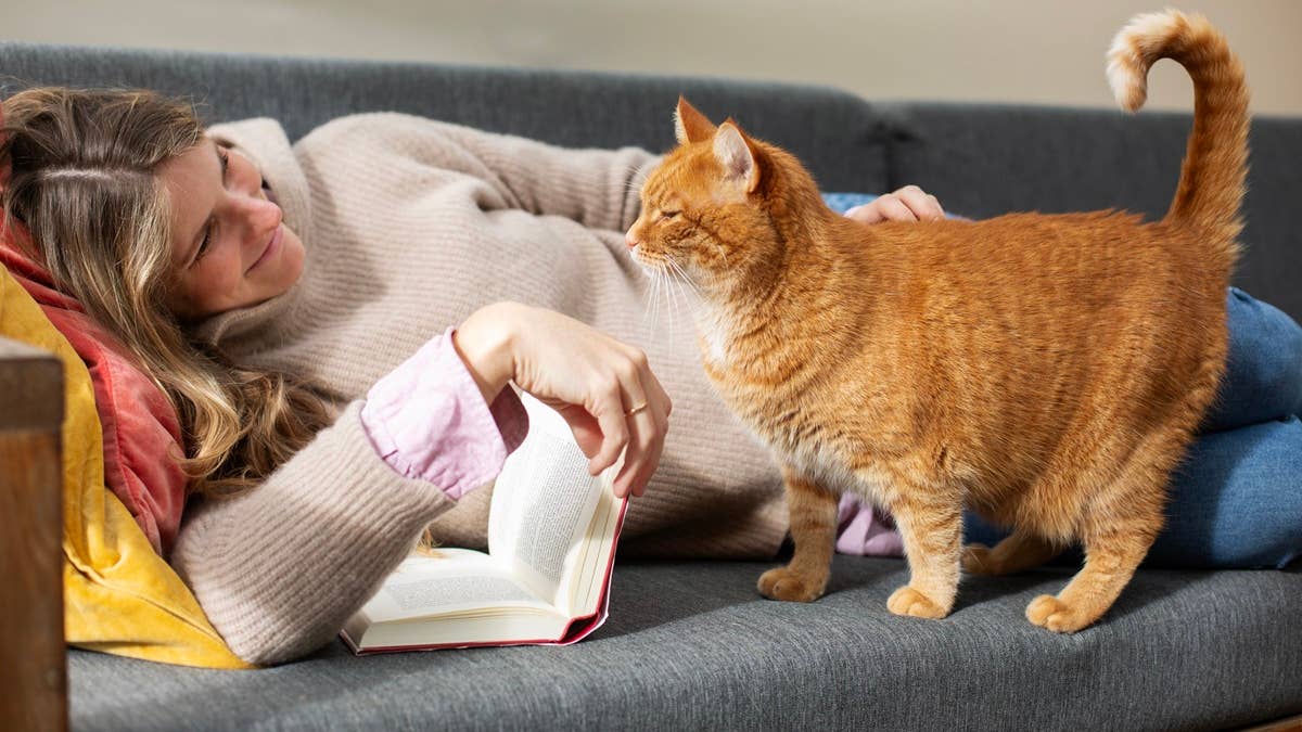 woman-relaxing-on-sofa-with-a-book-and-her-beautiful-ginger-cat