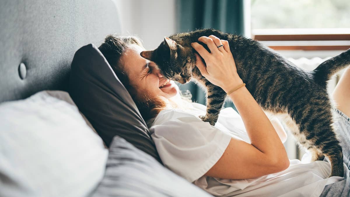 8 signs your cat is happy and comfortable, according to a vet