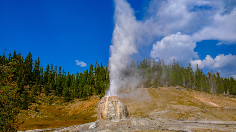 Avoid The Crowds In Yellowstone National Park On This Quiet, Laidback Trail To Awe-Inspiring Geysers