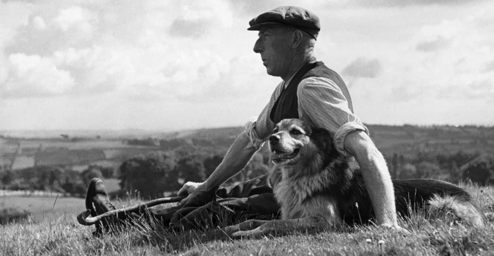Extinct dog breeds you never knew existed