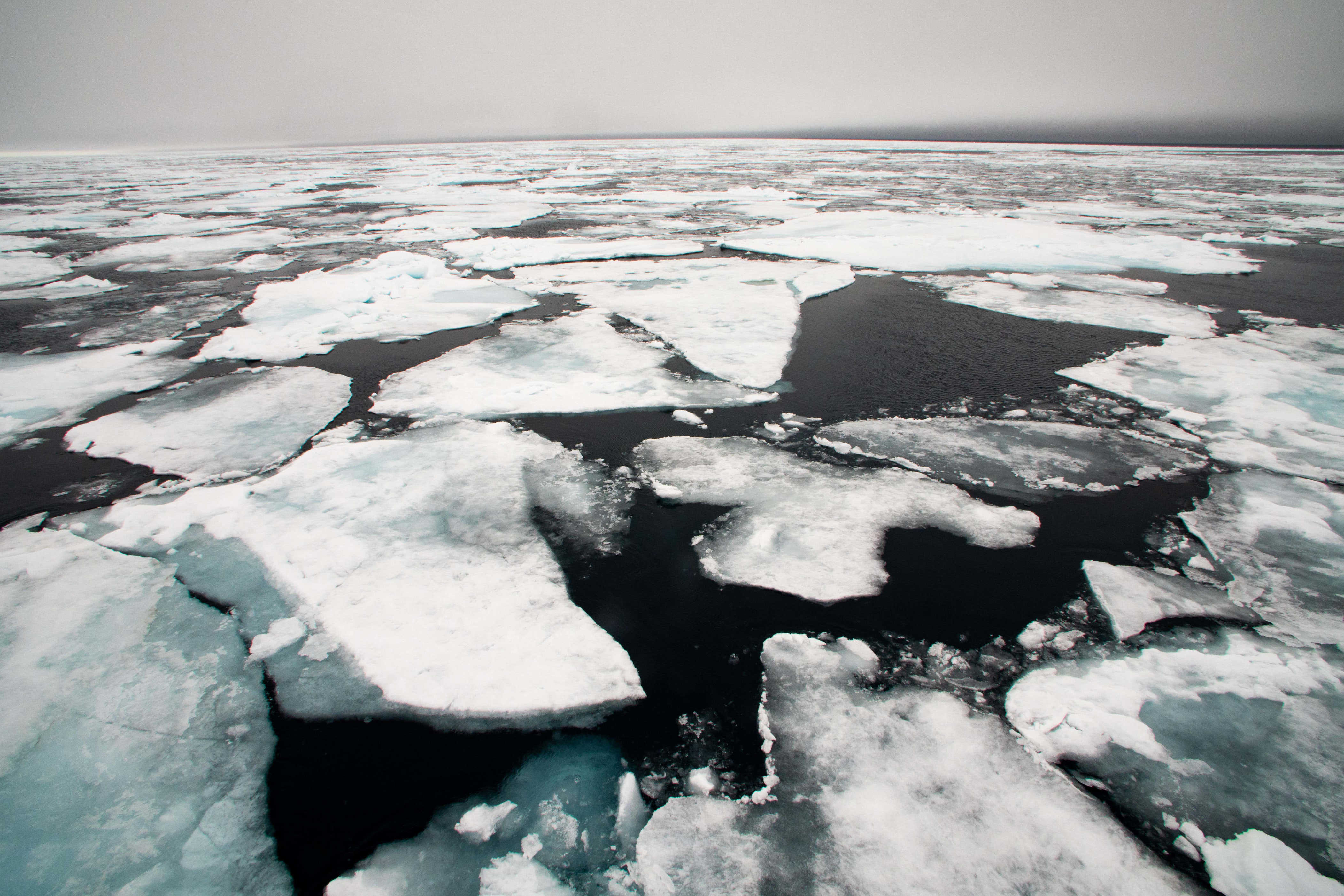Broken Arctic sea ice (PA)