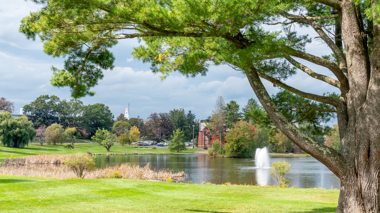 A lake on the campus of the University of Connecticut with a fountain and buildings in the background