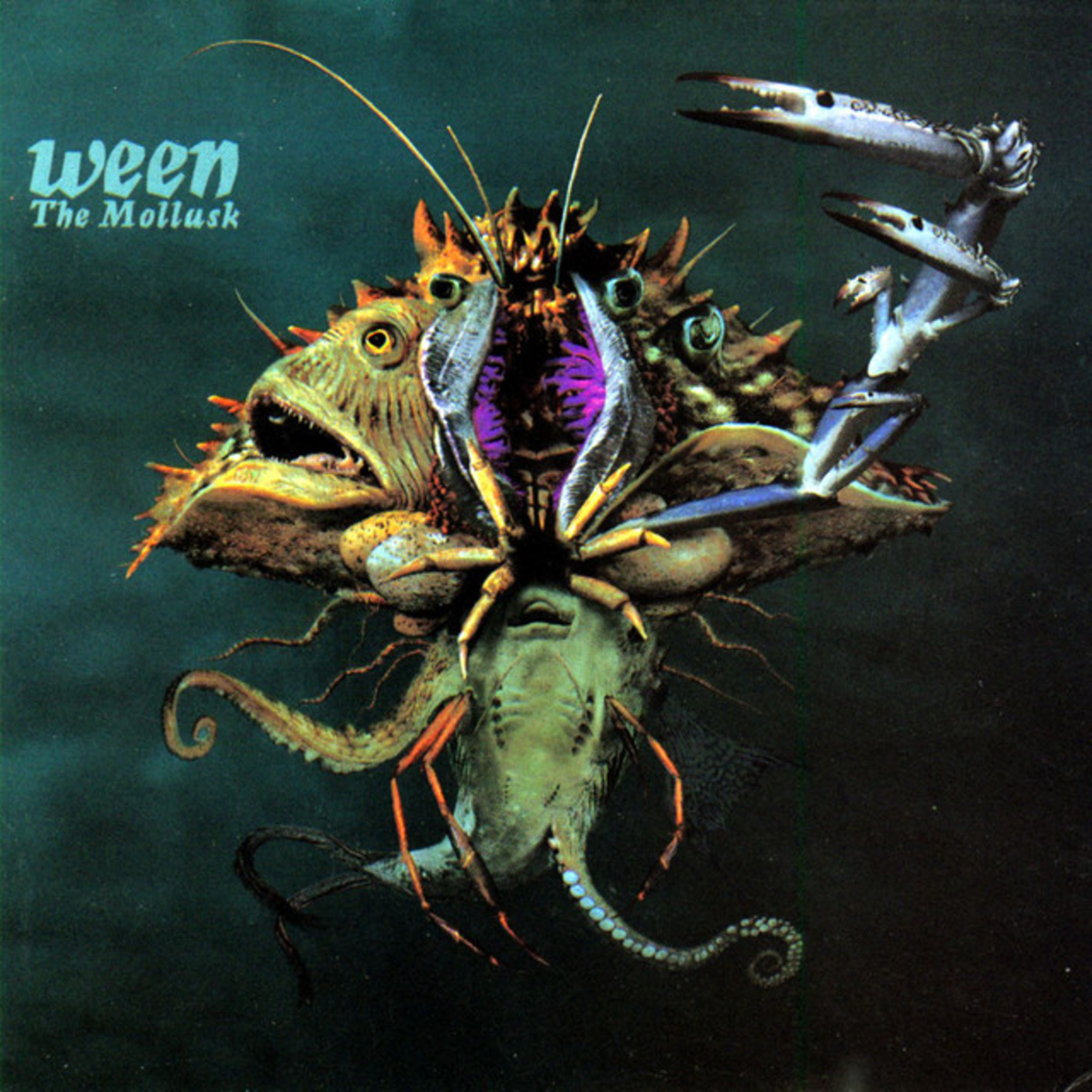 25 cult bands that earned their hype