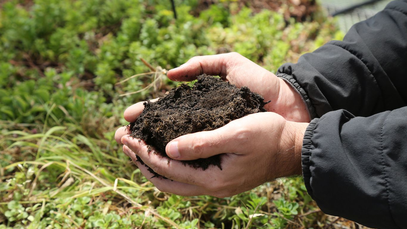 How DC.'s humanure became garden gold
