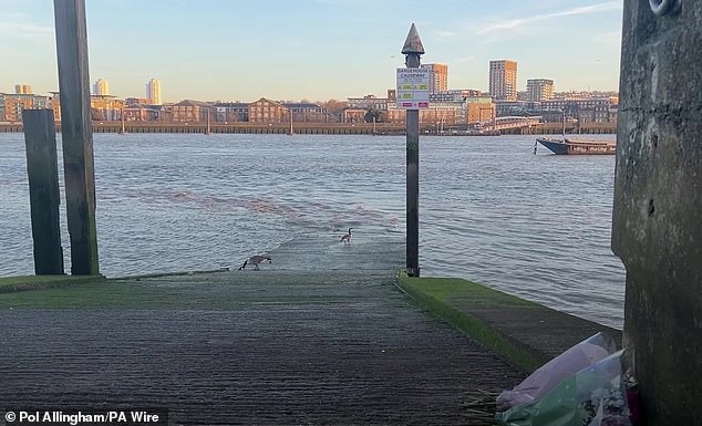 After a search operation, Kaliyah's body was recovered from the Thames on April 13, 2025. The river at Barge House Causeway is pictured