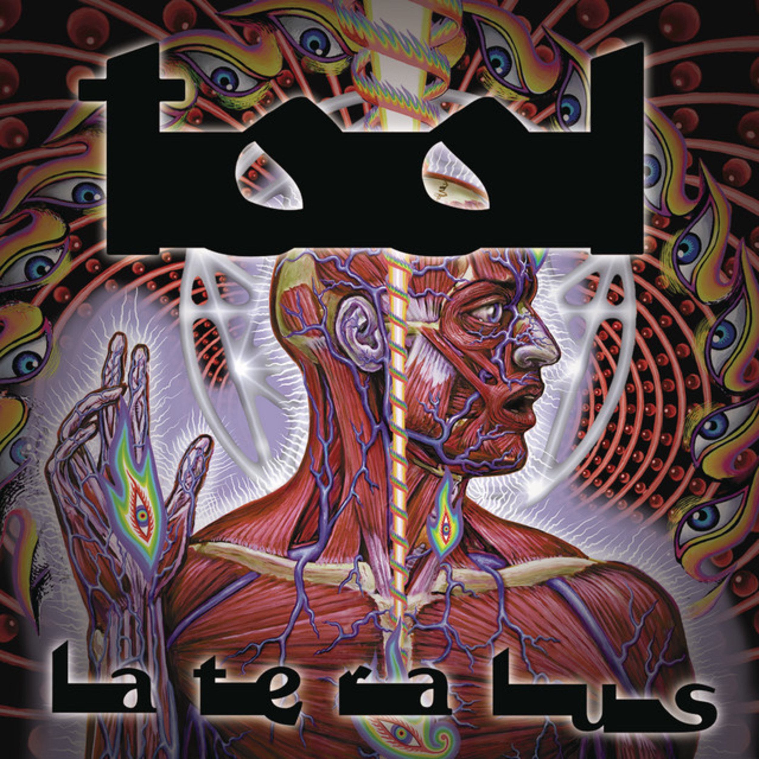 25 cult bands that earned their hype