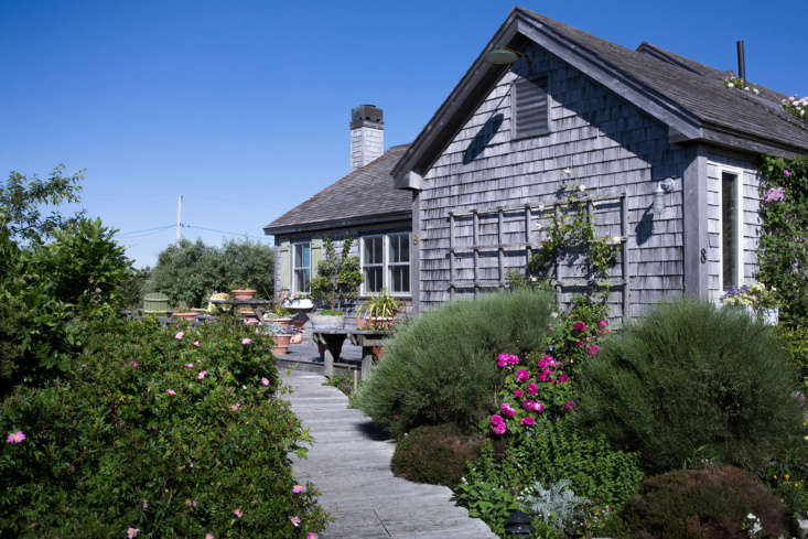 Cape Cod Cottage Garden boardwalk