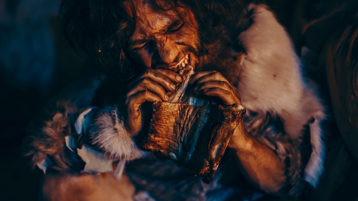 The Neanderthal trophic anomaly: Our extinct cousins either ate mammoths or insane amounts of maggots